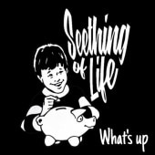 SEETHING OF LIFE / What's up