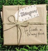 THE WELLINGTONS / For Friends In Far Away Places