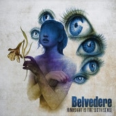 BELVEDERE / Hindsight Is The Sixth Sense��RECORD��