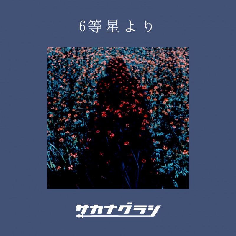 �����ʥ��饷 / 6�������