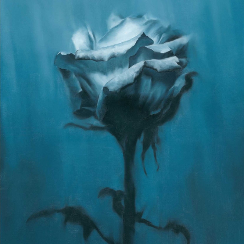 waterweed / Deep inside + Unknown best