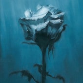 waterweed / Deep inside + Unknown best