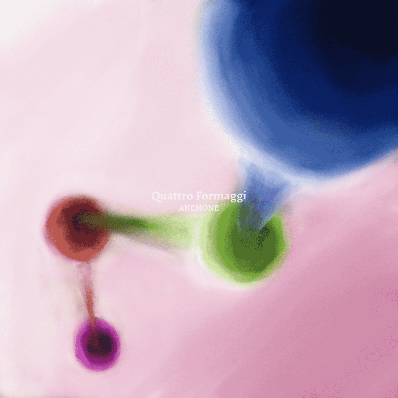 ANEMONE / Quattro Formaggi