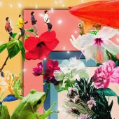 ��᥿�� / �ɥ饤�ե�