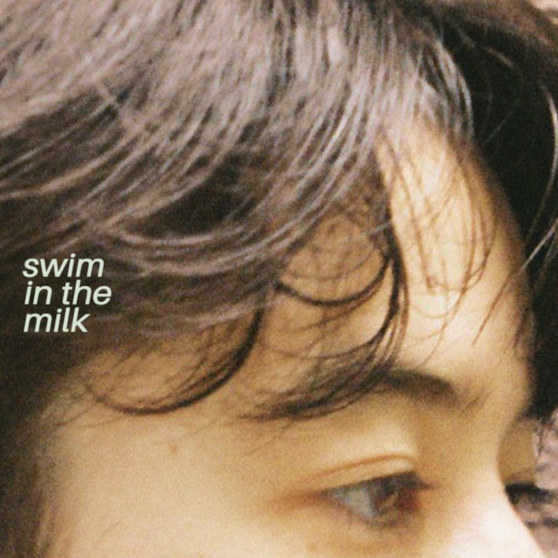 LIGHTERS / swim in the milk��CD)