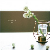 ����ŵ����� Dict. / �����ĥ᥯��