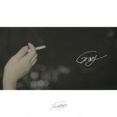 THE NIGHT HILLS / Gray