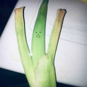 ����ŵ����� ������ʤ�1�� / S.T