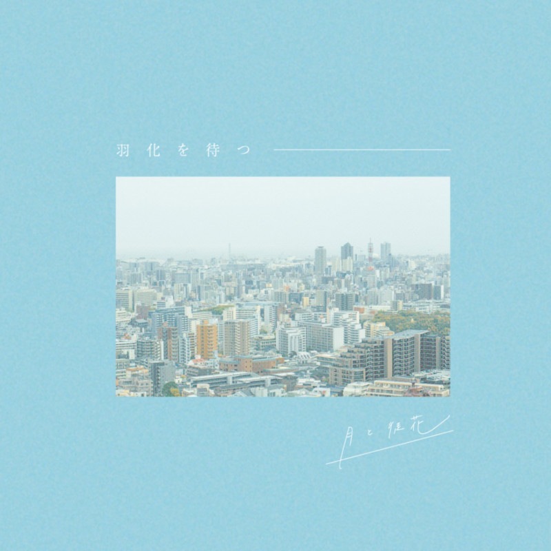 ����̲� / �������Ԥ�