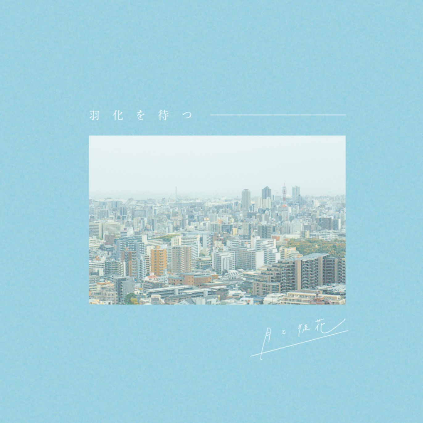 月と徒花 / 羽化を待つ | CD,日本,ギターロック / 歌モノ,新品