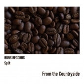 ��Ʊ��������ŵ����� V.A / BUNS RECORDS Split��From the Country side��  ��VA��