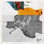 Apes / Catchall