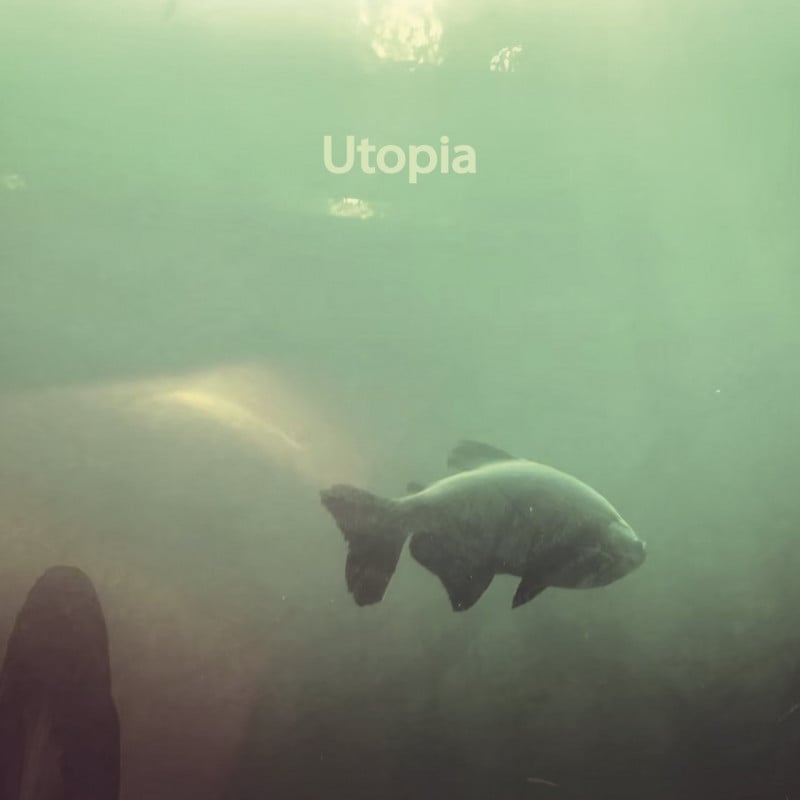 ROVING GRANDPA / Utopia
