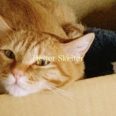 ����ŵ����� FATE BOX / Helter Skelter