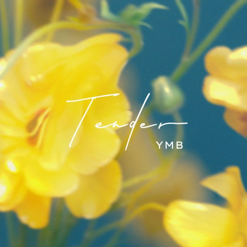 YMB / Tender