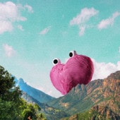 OCHA��ME / Heart Express