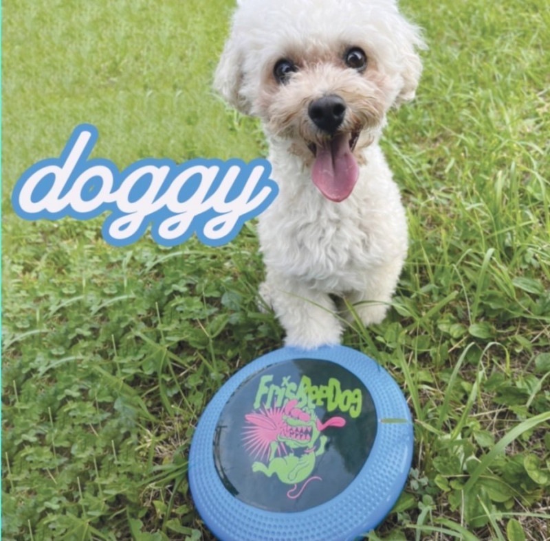 FrisBeeDog / doggy | CD,日本,メロコア / スカパンク /レゲエロック