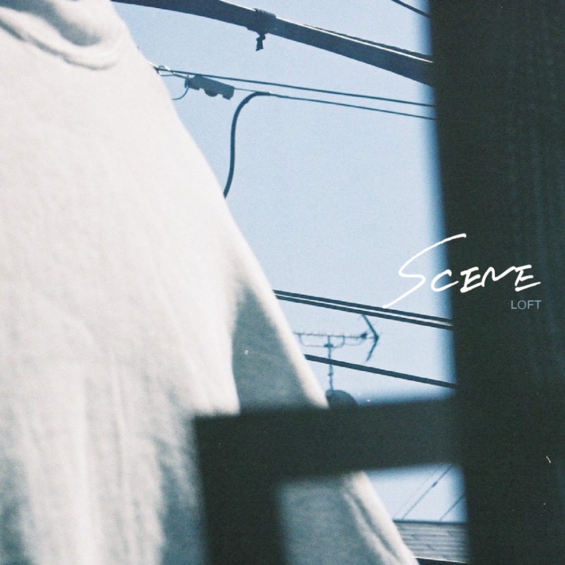 LOFT / SCENE | CD,日本,メロコア / スカパンク /レゲエロック,新品