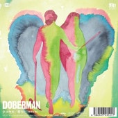 DOBERMAN(ɡ٥ޥ) / 䥭- ֤ۤۤ