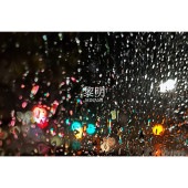 MINAMI / ����