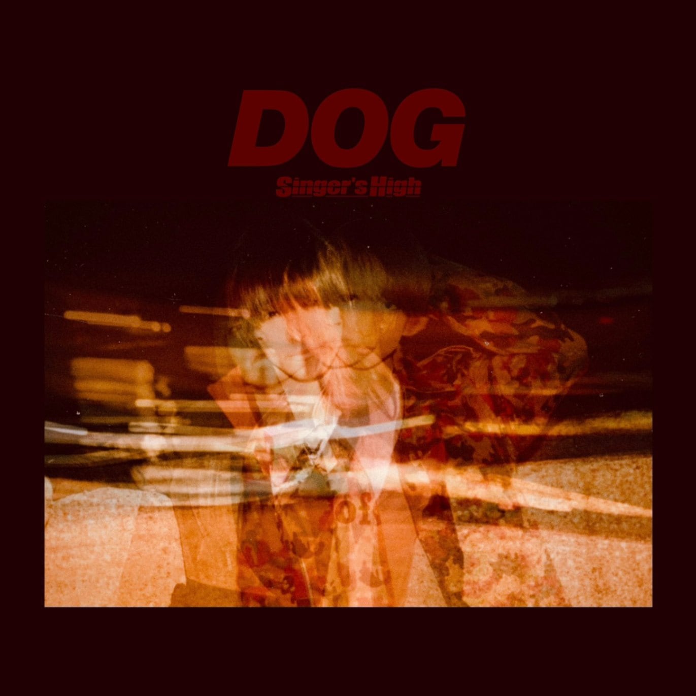 ���󥬡����ϥ� / DOG