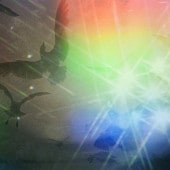 Cornelius�ʥ����ͥꥢ��) / �в�