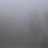 ����ŵ����� downt / �� ��RECORD��