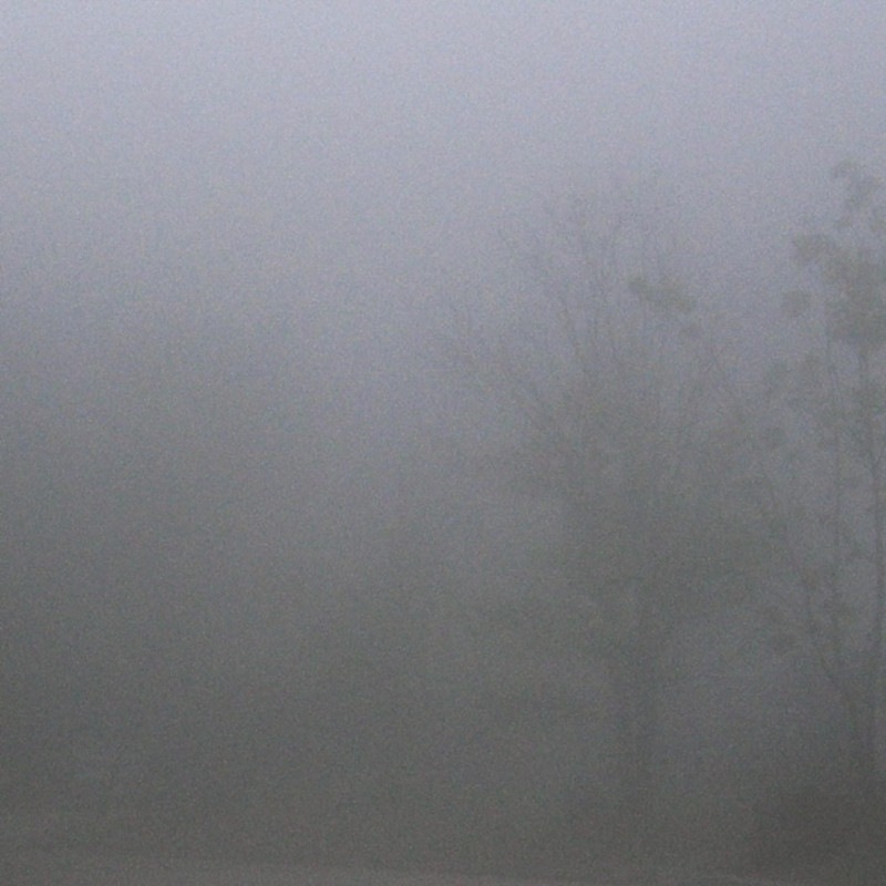 downt / �� ��CD��