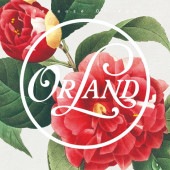 Orland / Because Of You ��RECORD�� �ڥ쥳���ɤ�����