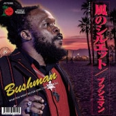 Bushman / WHAT YOU WON'T DO FOR LOVE (���Υ��륨�å�)