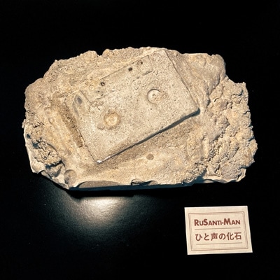 ����ŵ����� �륵����ޥ� / �Ҥ����β��� - rebury