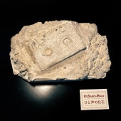 ŵ 륵ޥ / Ҥβ - rebury