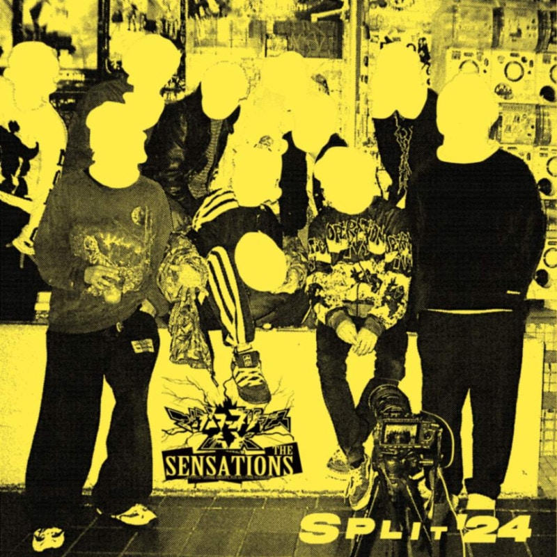 �Ǥ֥����ͥꥢ��EX - THE SENSATIONS /  �Ǥ֥����ͥꥢ��EX  THE SENSATIONS 7inch Analog SPLIT