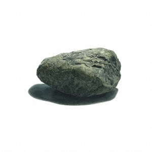 �ȼ� / �ФΤ褦�ʼ�ͳ