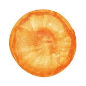 �ե��å���ޥ� (FISHMANS) / ���� �٥��ȡ����֡��ե��å���ޥ�