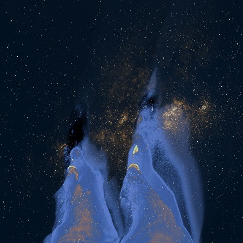 ���奬������ / �������ں�