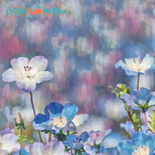 ŵASAKIYUMEMISHI /ꥫ饯