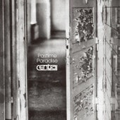 CENTRAL / Pastime Paradise ��RECORD��