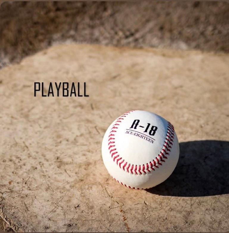 A-18�ʥ����������ƥ������ / PLAYBALL