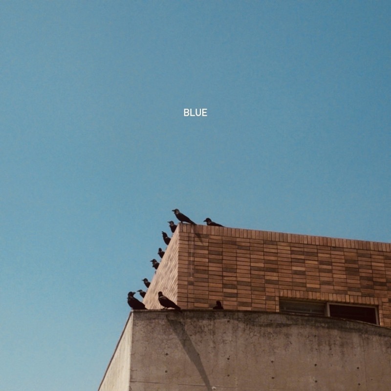 ͧãʪ / BLUE