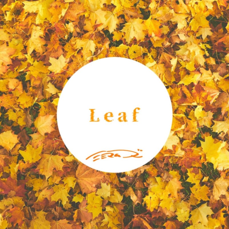 ߥ˥ޥॺ / Leaf
