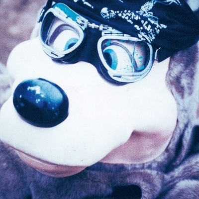 BLANKEY JET CITY / C.B.Jim RECORD