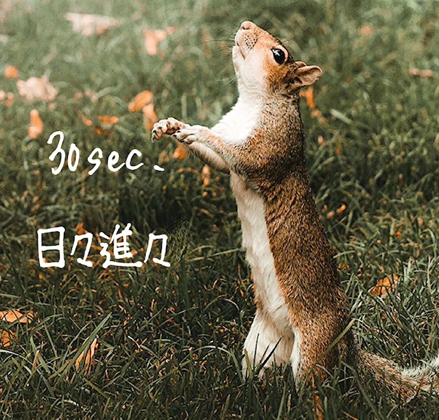 30sec.(ƥ) / ʡ