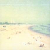 THEE MICHELLE GUN ELEPHANT(ߥå  ե) / is this High Time? RECORD