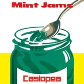 CASIOPEA(�������ڥ�) / MINT JAMS ��RECORD��