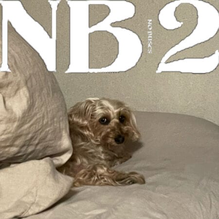 No Buses / No Buses レコード 9e6b5dbbbf76d042d793e694b61cae