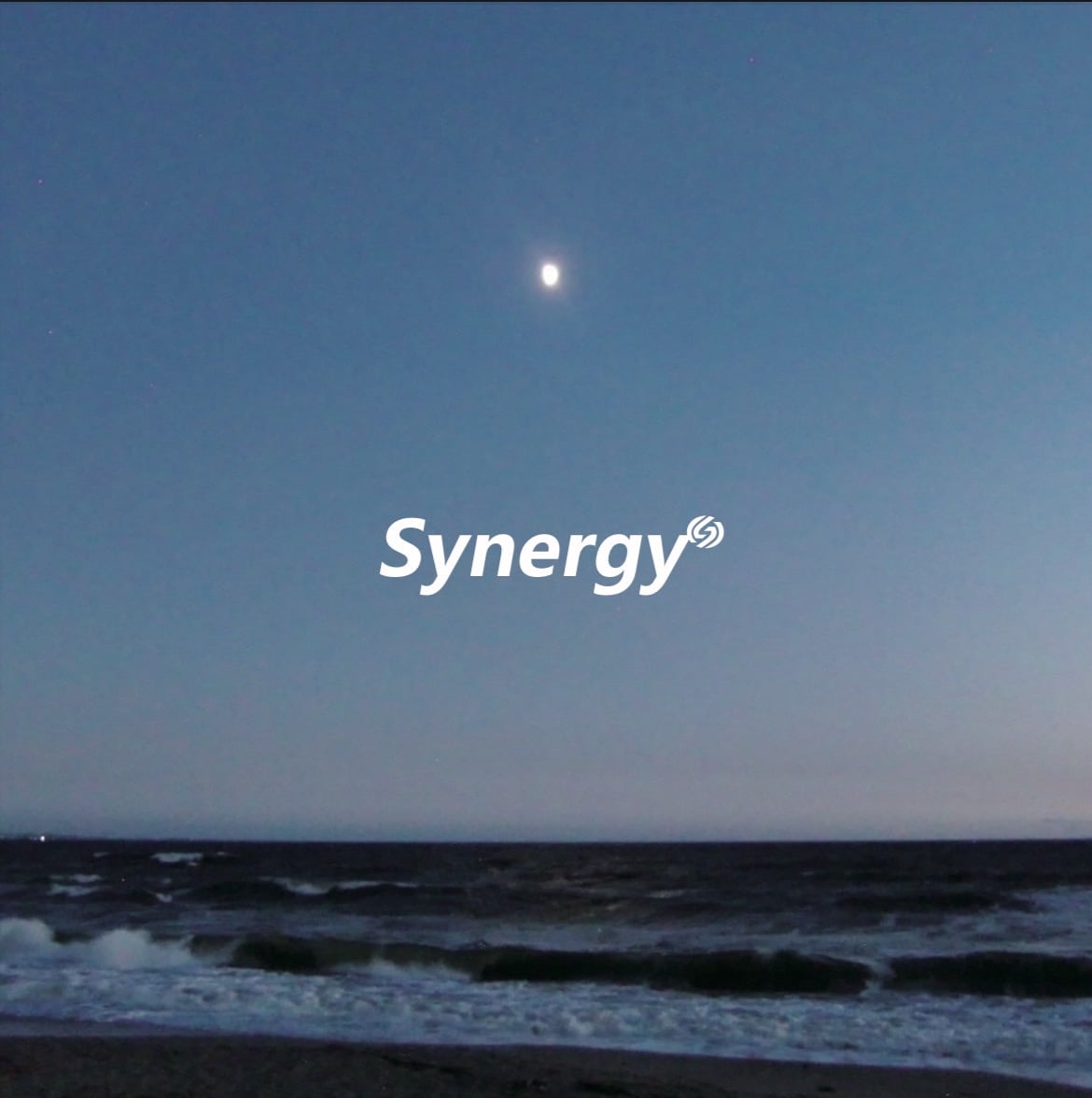 Synergy(シナジー) / 
