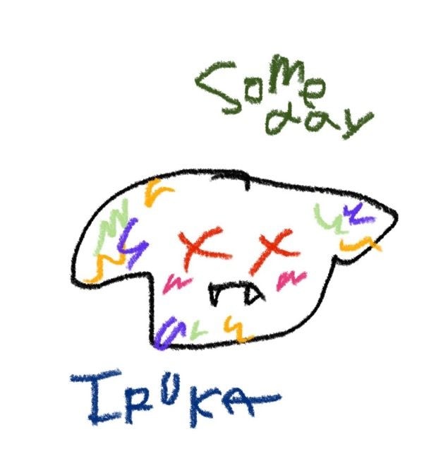 IRUKA / Someday