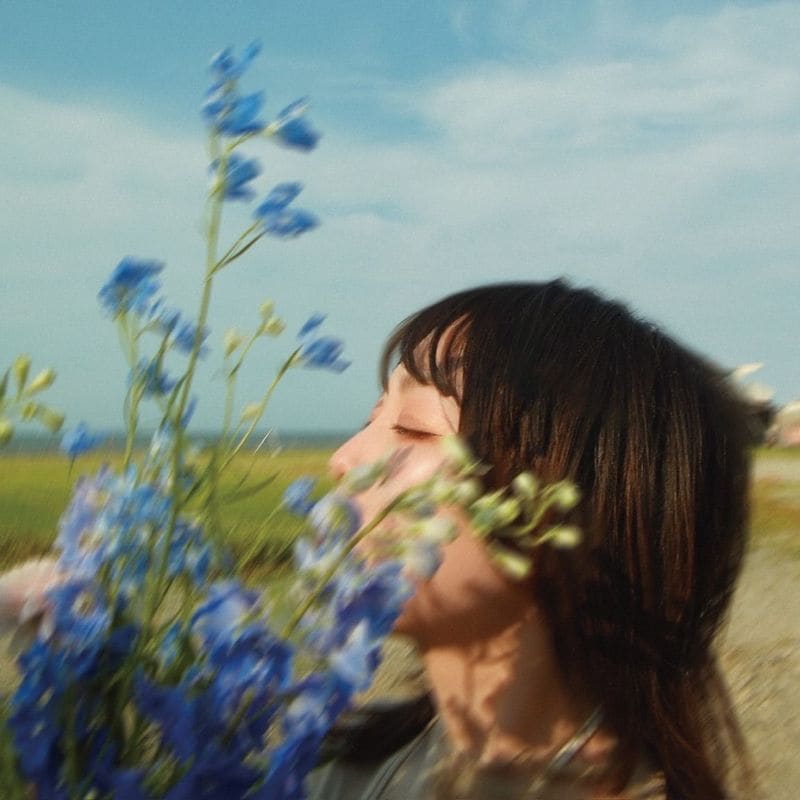 Day my dream / cyan