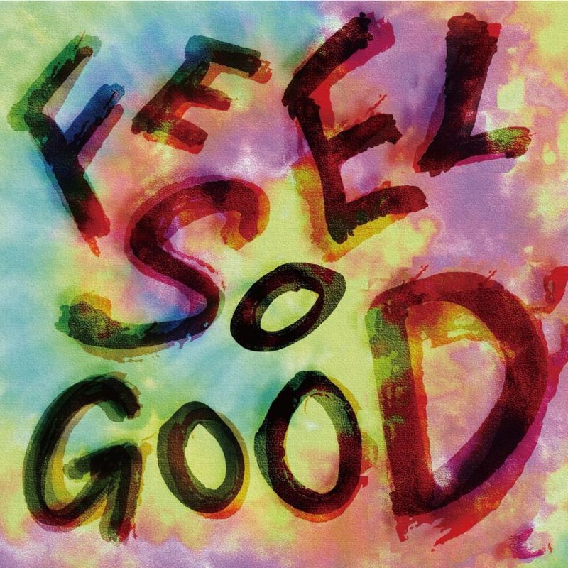 pug / FEEL SO GOOD